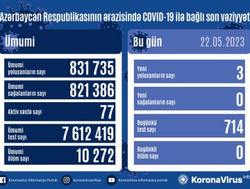 За сутки выявлено 33 случая – Статистика по COVID в Азербайджане