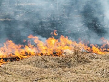 МЧС: В поселке Суговушан вспыхнул пожар